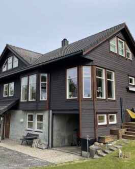Linomal Linoljemaling Mørk Sjokolade