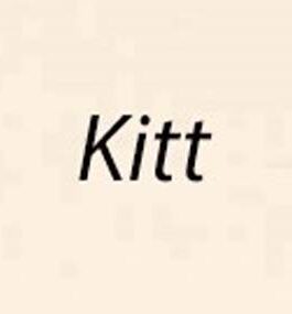 Linomal Linoljemaling Kitt